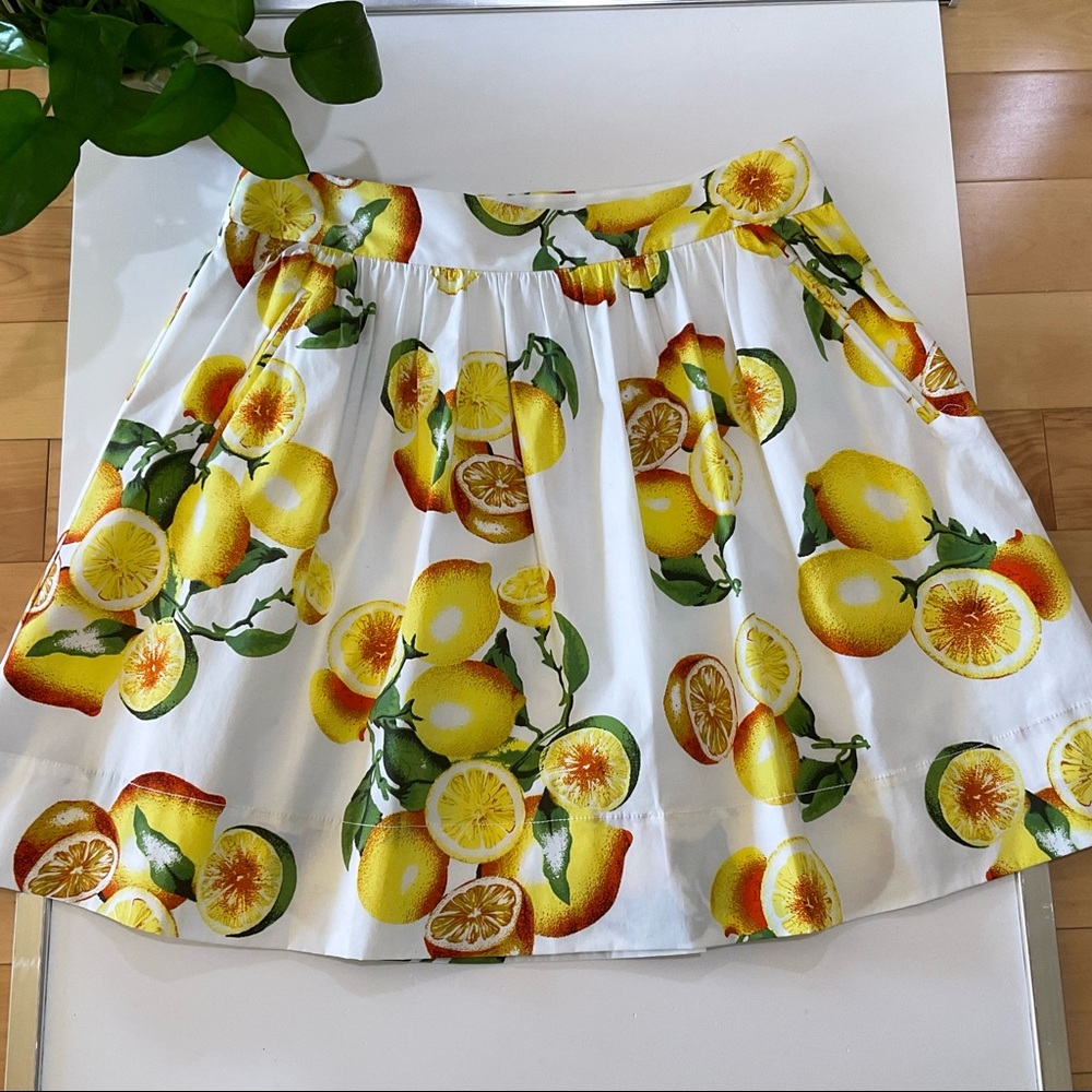 Banana Republic Lemon Print Skirt 8